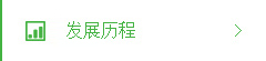 发展历程