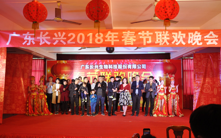 2018年春节联欢晚会