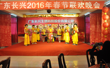 2016年春节联欢晚会