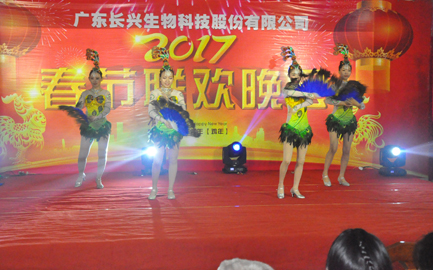 2017年春节联欢晚会