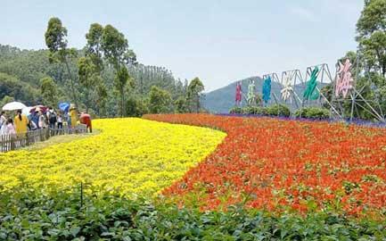 五一漳州游-------十里蓝山