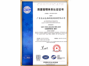 质量管理体系认证证书