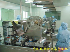 平板式自动泡罩包装机